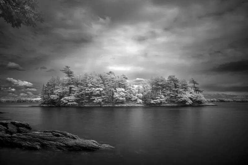 Beyond the Visible: How American Photographers Are Unlocking the Secret World of Infrared Light