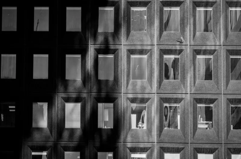 Order From Chaos: The Secret Geometry Powering America's Greatest Street Photography