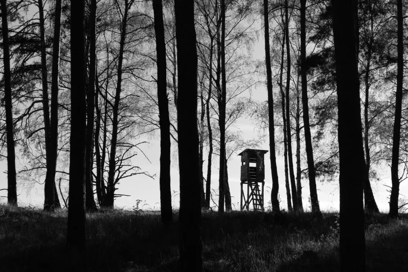 Strip Away the Spectrum: The Enduring Power of Monochrome Photography in an Age of Infinite Color